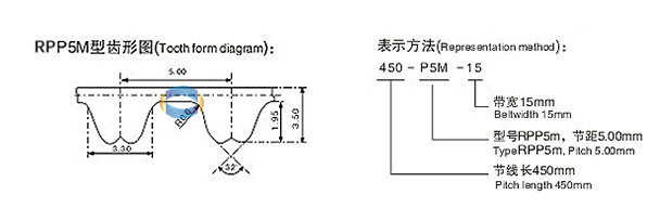 RPP齿形图